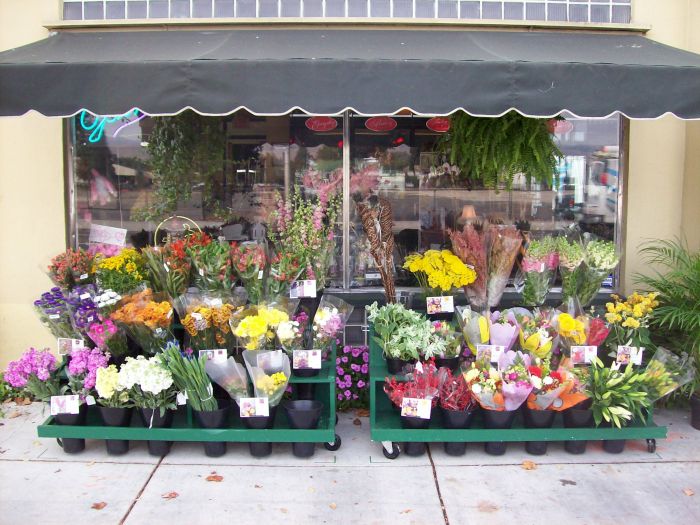 Florist balloons gifts intire merchandise stock