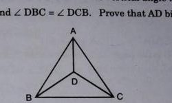 Given that ba bisects dbc