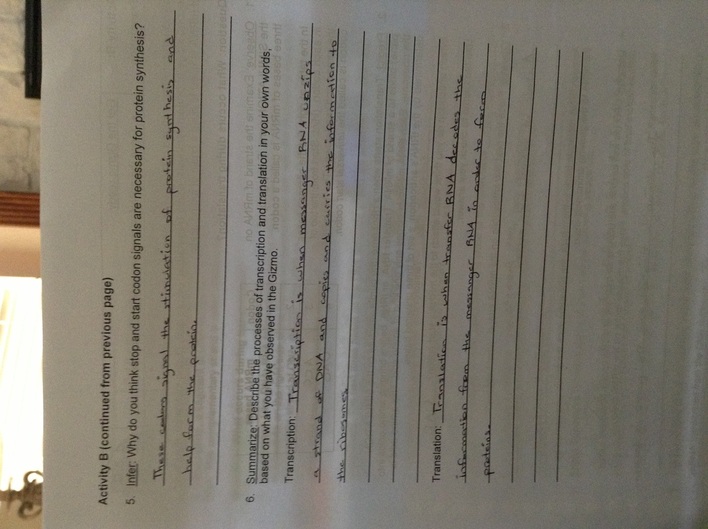 Reading topographic maps gizmo answer key