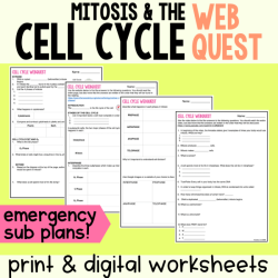 Cell cycle and mitosis webquest answer key