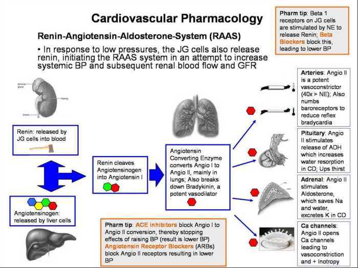 Rn pharmacology a relias answers