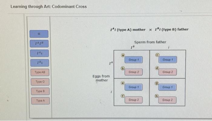 Seed green allele mendel discovered pods yellow crossed dominant show solved help answer transcribed problem text been has